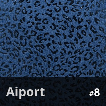 Aiport 8